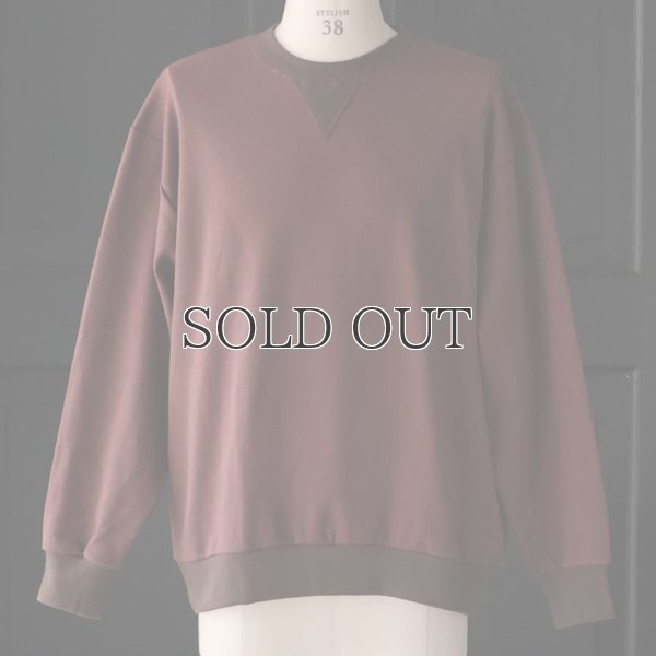 画像8: 「和歌山」 ミラノリブ (10オンス) バルーン Vガゼット クルーネック【MADE IN JAPAN】【送料無料】『日本製』 / Upscape Audience