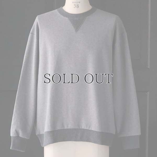 画像12: 「和歌山」 ミラノリブ (10オンス) バルーン Vガゼット クルーネック【MADE IN JAPAN】【送料無料】『日本製』 / Upscape Audience