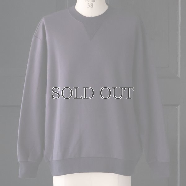 画像10: 「和歌山」 ミラノリブ (10オンス) バルーン Vガゼット クルーネック【MADE IN JAPAN】【送料無料】『日本製』 / Upscape Audience