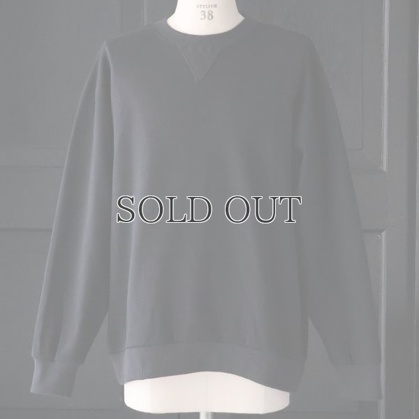 画像14: 「和歌山」 ミラノリブ (10オンス) バルーン Vガゼット クルーネック【MADE IN JAPAN】【送料無料】『日本製』 / Upscape Audience