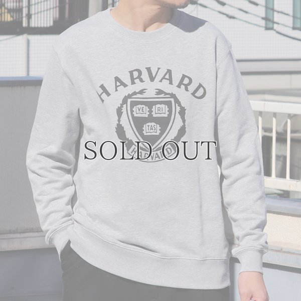 画像3: HARVARD"HARVARD EMBLEM"クルーネック長袖スウェット / Audience