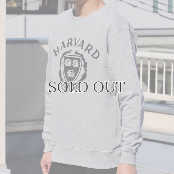 画像5: HARVARD"HARVARD EMBLEM"クルーネック長袖スウェット / Audience