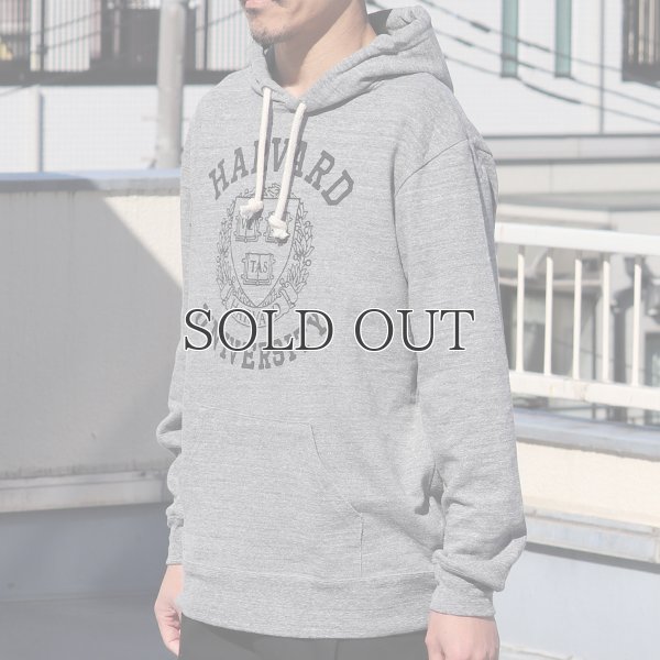 画像5: HARVARD"HARVARD EMBLEM UNIVERSITY"フーデッドライトパーカー / Audience