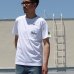 画像3: ビートルズ ”グリーンApple-E”ポケットTEE【Audience】