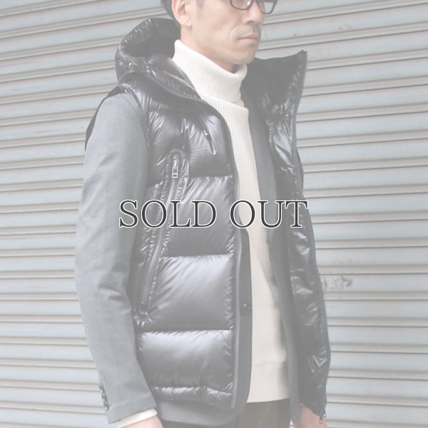 画像15: 『ダウン＆フェザー』DICROS DNA Lightスタンドフードダウンベスト 【送料無料】 / Audience