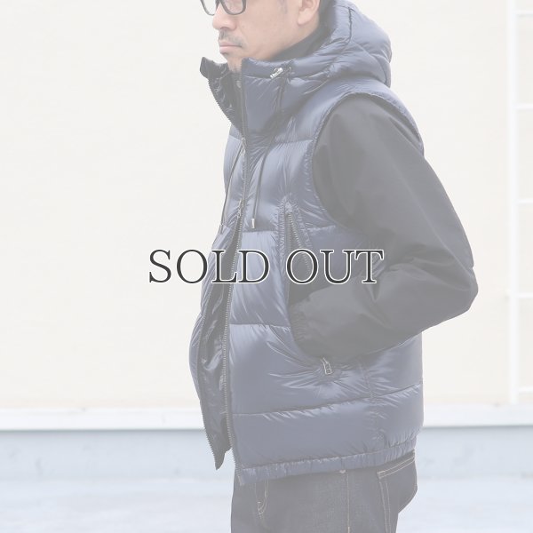 画像5: 『ダウン＆フェザー』DICROS DNA Lightスタンドフードダウンベスト 【送料無料】 / Audience