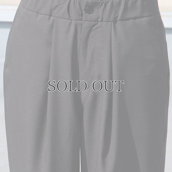 画像13: Reflax®(リフラクス)テック リネンライク ウェザー 1タックワイドイージーパンツ【MADE IN JAPAN】『日本製』/ Upscape Audience