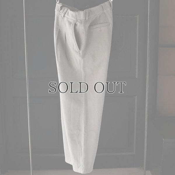 画像10: ピグメントヘビー裏起毛(14オンス)2タック イージーワイドパンツ / Audience