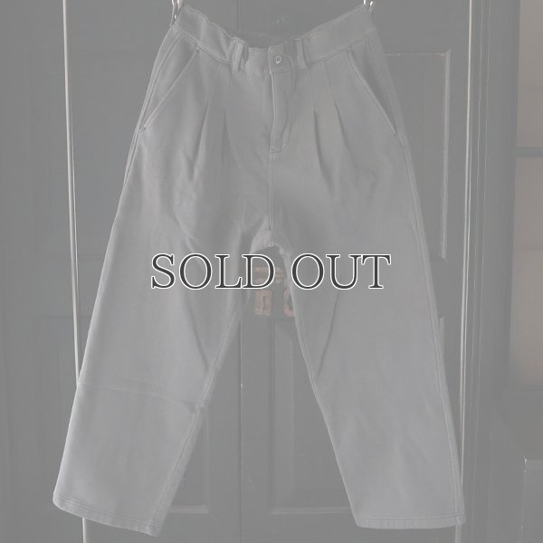 画像4: ピグメントヘビー裏起毛(14オンス)2タック イージーワイドパンツ / Audience