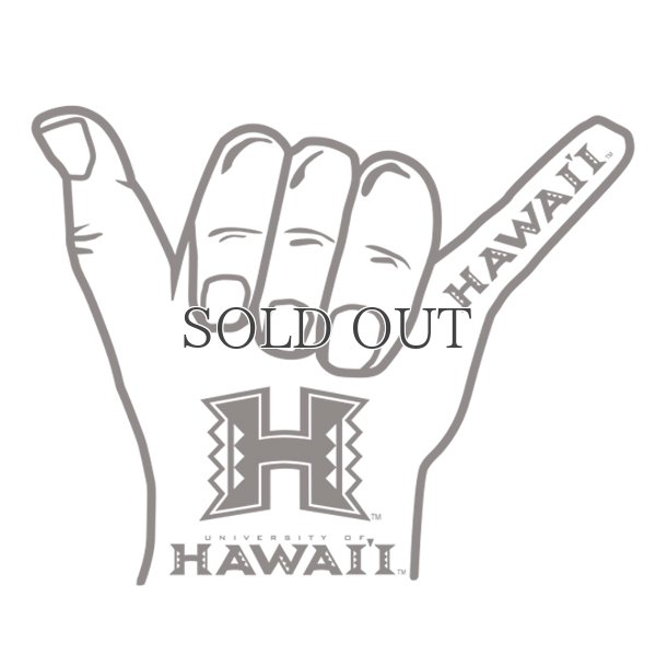 画像10: 6.2oz丸胴HAWAII”HAND”オールドプリントTEE / Audience