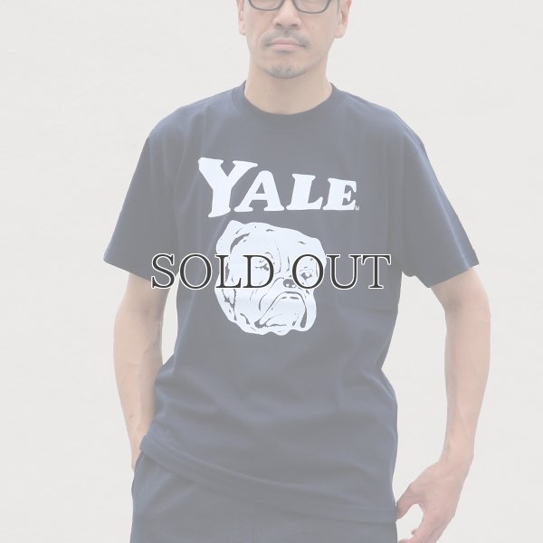 画像3: 6.2オンス丸胴BODY YALE"Handsome-YALEオールドプリント"TEE / Audience