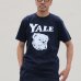 画像3: 【RE PRICE / 価格改定】6.2オンス丸胴BODY YALE"Handsome-YALEオールドプリント"TEE / Audience