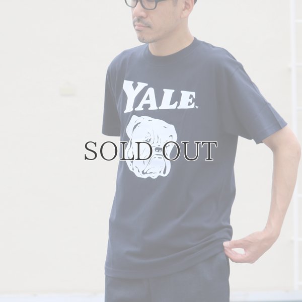 画像4: 6.2オンス丸胴BODY YALE"Handsome-YALEオールドプリント"TEE / Audience