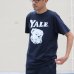 画像4: 【RE PRICE / 価格改定】6.2オンス丸胴BODY YALE"Handsome-YALEオールドプリント"TEE / Audience