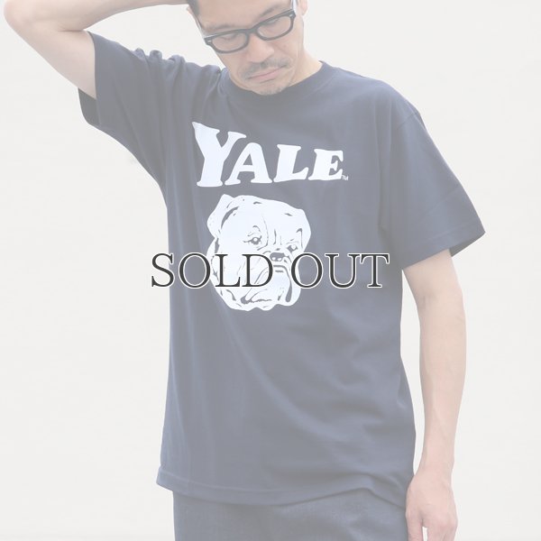 画像6: 6.2オンス丸胴BODY YALE"Handsome-YALEオールドプリント"TEE / Audience