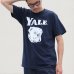 画像6: 【RE PRICE / 価格改定】6.2オンス丸胴BODY YALE"Handsome-YALEオールドプリント"TEE / Audience