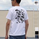 【RE PRICE / 価格改定】BRONZE AGE（ブロンズエイジ）"SCHOOL OF FISH"プリントTEE/ Audience