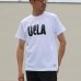 画像4: 【RE PRICE / 価格改定】6.2オンス丸胴BODY UCLA"UCLA LAYERED LOGOオールドプリント"TEE / Audience