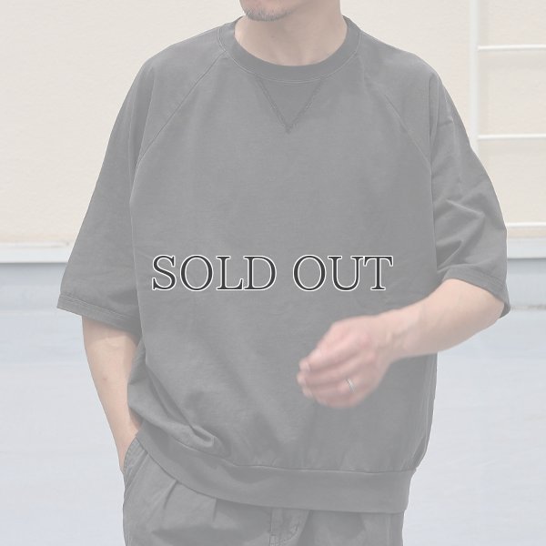 画像9: ピグメント 米綿 (USAコットン) 16/-天竺 ( 8.45オンス) ガゼットクルーネック ラグラン ハーフスリーブ バルーン Tシャツ / Audience