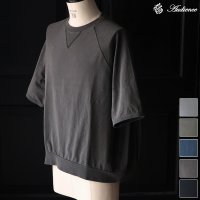 ピグメント 米綿 (USAコットン) 16/-天竺 ( 8.45オンス) ガゼットクルーネック ラグラン ハーフスリーブ バルーン Tシャツ / Audience