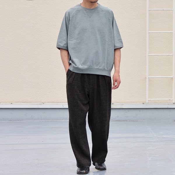 画像8: ピグメント 米綿 (USAコットン) 16/-天竺 ( 8.45オンス) ガゼットクルーネック ラグラン ハーフスリーブ バルーン Tシャツ / Audience