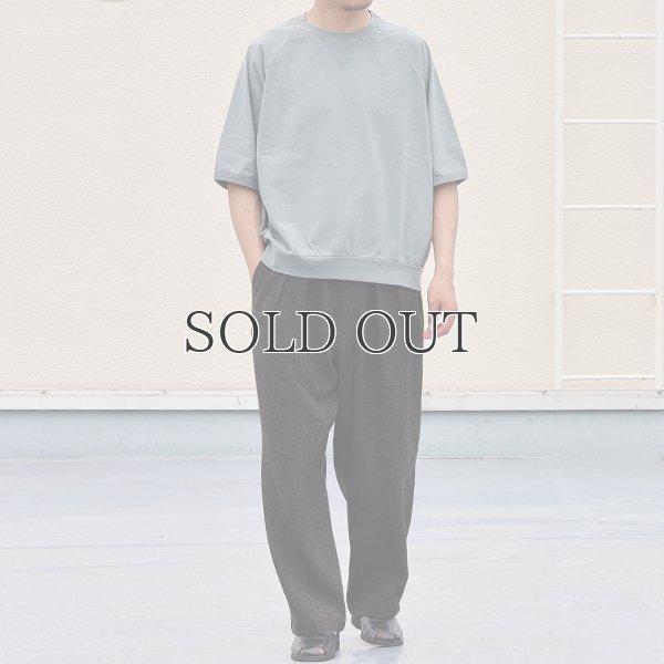 画像8: ピグメント 米綿 (USAコットン) 16/-天竺 ( 8.45オンス) ガゼットクルーネック ラグラン ハーフスリーブ バルーン Tシャツ / Audience