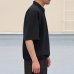 画像5: ピグメント 米綿 (USAコットン) 16/-天竺 ( 8.45オンス) ハーフスリーブ ドローコード バルーン ポロシャツ / Audience
