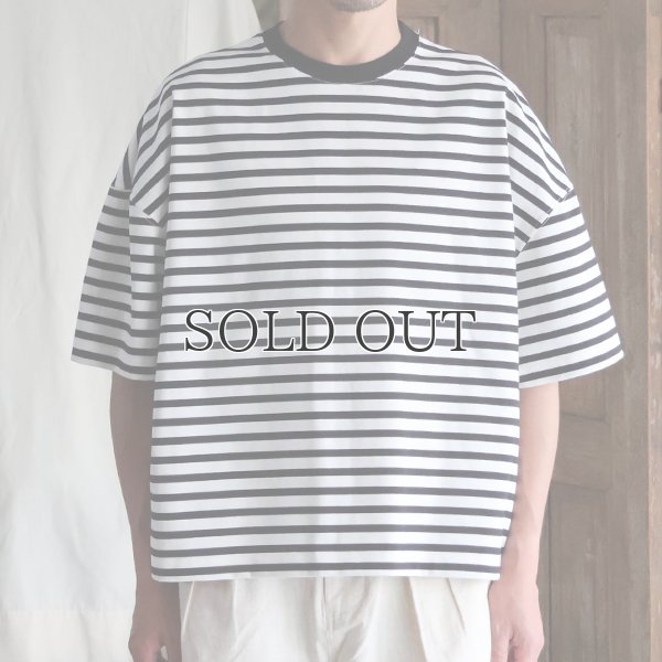 画像5: VORTEX 8オンス（MVS天竺) ボーダー クルーネック ハーフスリーブ クロップドTEE【MADE IN JAPAN】『日本製』/ Upscape Audience