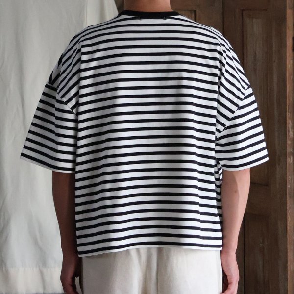 画像5: VORTEX 8オンス（MVS天竺) ボーダー クルーネック ハーフスリーブ クロップドTEE【MADE IN JAPAN】『日本製』/ Upscape Audience