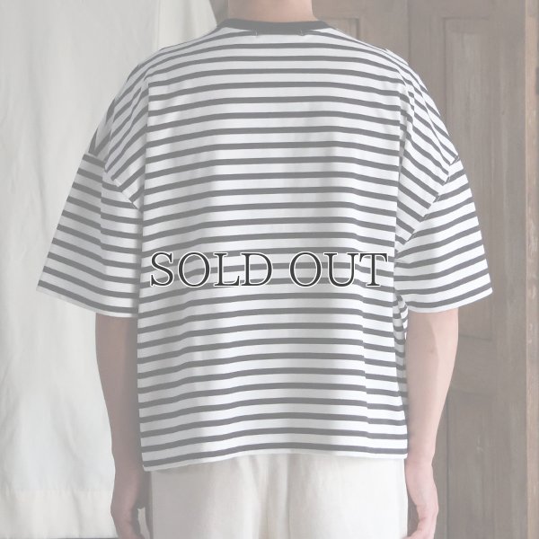 画像7: VORTEX 8オンス（MVS天竺) ボーダー クルーネック ハーフスリーブ クロップドTEE【MADE IN JAPAN】『日本製』/ Upscape Audience