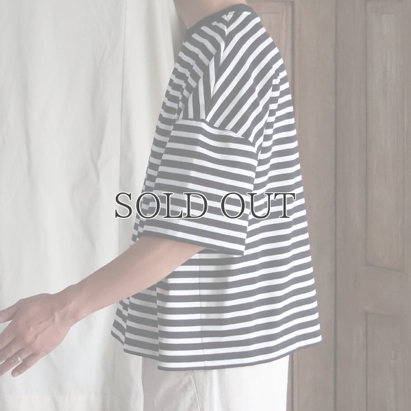 画像14: VORTEX 8オンス（MVS天竺) ボーダー クルーネック ハーフスリーブ クロップドTEE【MADE IN JAPAN】『日本製』/ Upscape Audience