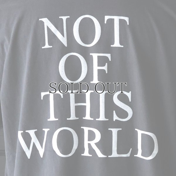 画像11: Dennis Rodman  NOT OF THIS WORLD S/S TEE(デニス・ロッドマン NOT OF THIS WORLD Tシャツ)