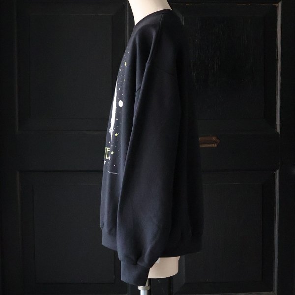 画像4: JERZEES ジャージーズ(jz25f010) / "EINSTEIN（アインシュタイン）" クルーネック スウェット