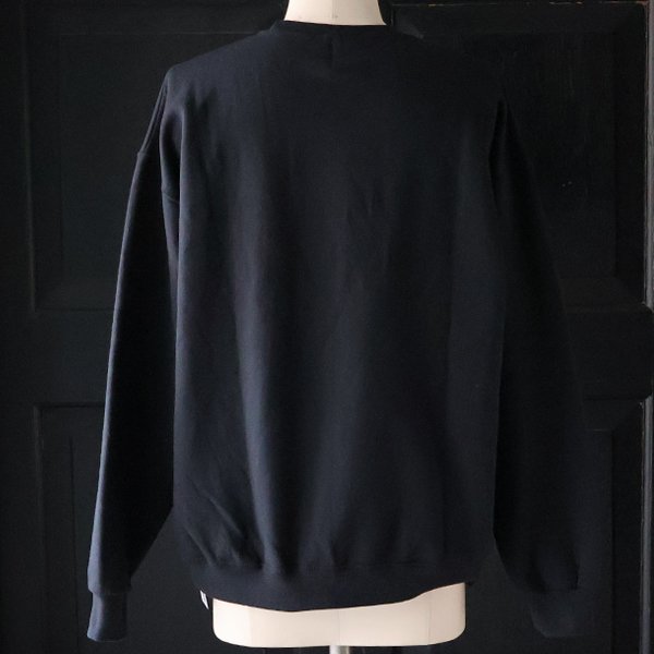 画像5: JERZEES ジャージーズ(jz25f010) / "EINSTEIN（アインシュタイン）" クルーネック スウェット