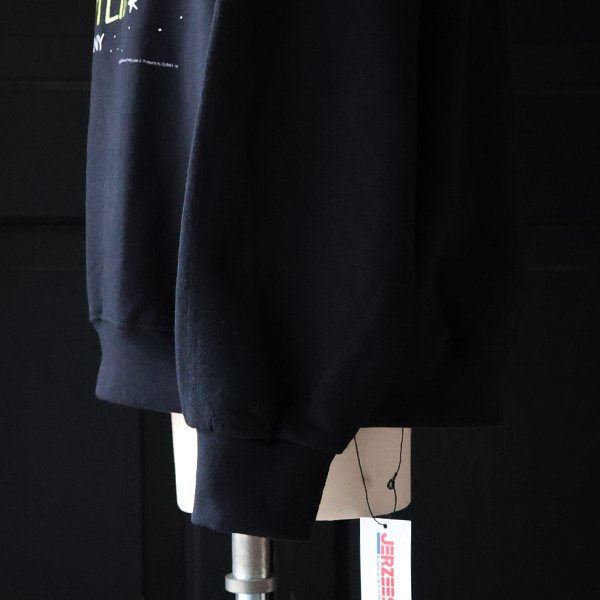 画像9: JERZEES ジャージーズ(jz25f010) / "EINSTEIN（アインシュタイン）" クルーネック スウェット