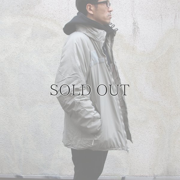 画像7: U.S.Army ECWCS GEN3 LEVEL7 プリマロフト フォレストパーカー【　DJ MANUFACTURING　】/ デッドストック