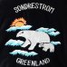 画像7: THRIFTY LOOK スリフティールック / SUNDERSTORM SOUVENIR PADDED BLOUSON (7)
