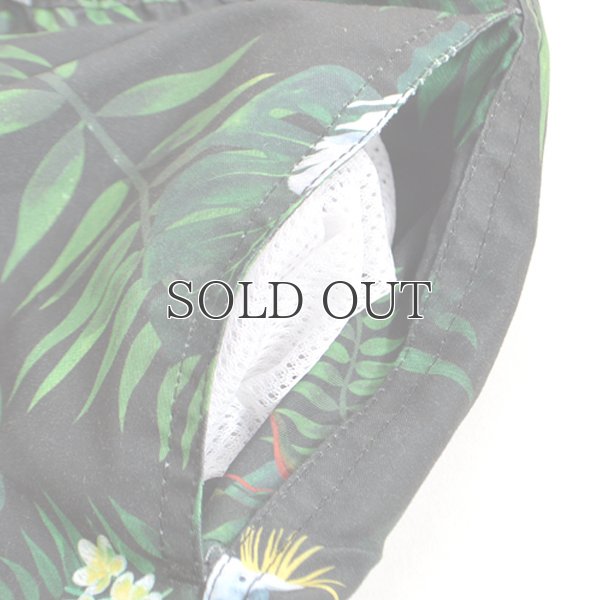 画像18: "Burleigh Night "ショーツ【送料無料】/Franks