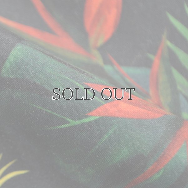 画像20: "Burleigh Night "ショーツ【送料無料】/Franks