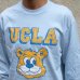 画像12: UCLA"UCLA BERA" 6oz米綿丸胴L/S Tee/ Audience (12)