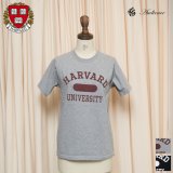 HARVARD"HARVARD UNIVERSITY"C/N S/S 6oz オールドプリントT [Lady's] / Audience