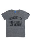 画像2: UCLA"UNIVERSITY OF CALIFORNIA LOS ANGELES"三素材混カレッジプリント半袖VネックTシャツ [Lady's] / Audience (2)