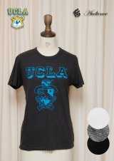 画像: 【RE PRICE / 価格改定】 UCLA"UCLA"エンブレム三素材混カレッジプリント半袖クルーネックTシャツ [Lady's] / Audience
