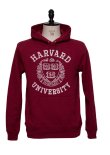 画像9: 【RE PRICE / 価格改定】HARVARD"HARVARD EMBLEM UNIVERSITY"フーデッドライトパーカー / Audience (9)