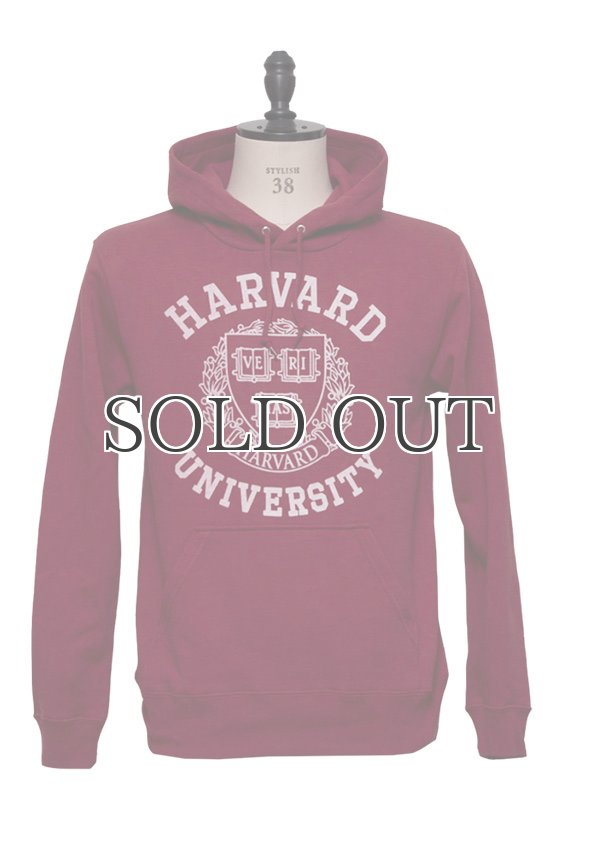 画像9: HARVARD"HARVARD EMBLEM UNIVERSITY"フーデッドライトパーカー / Audience (9)
