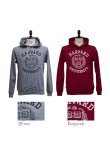 画像11: HARVARD"HARVARD EMBLEM UNIVERSITY"フーデッドライトパーカー / Audience (11)
