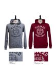 画像11: 【RE PRICE / 価格改定】HARVARD"HARVARD EMBLEM UNIVERSITY"フーデッドライトパーカー / Audience (11)