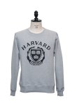 画像6: HARVARD"HARVARD EMBLEM"クルーネック長袖スウェット [Lady's] / Audience (6)