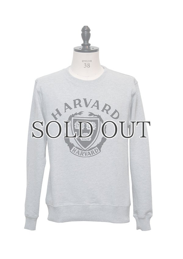 画像10: HARVARD"HARVARD EMBLEM"クルーネック長袖スウェット / Audience (10)