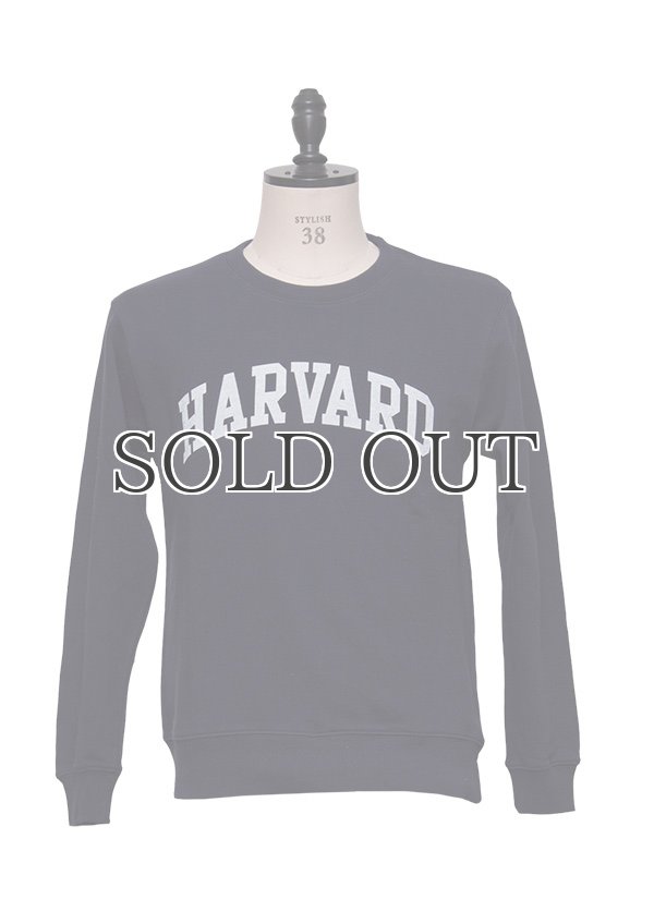 画像2: HARVARD"HARVARD"クルーネック長袖スウェット[Lady's] / Audience (2)